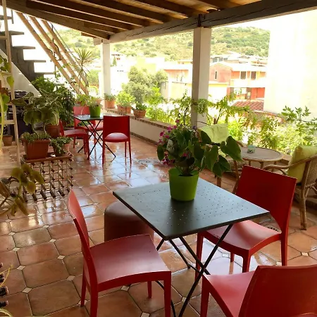 Arega וילסימיוס